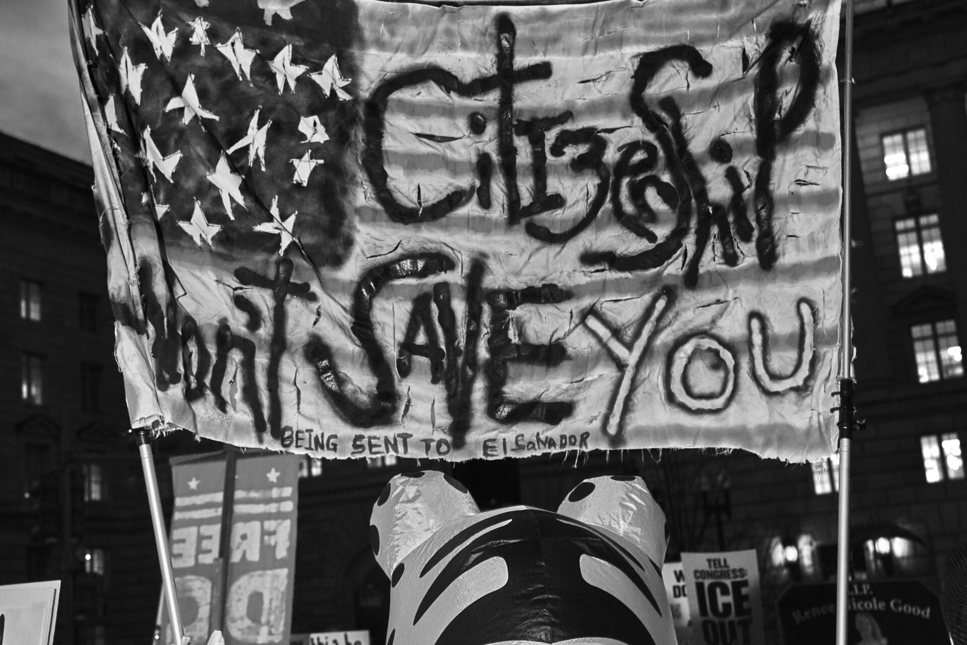 A person in a frog suit holding a banner that reads "Citizenship Will not Save You"