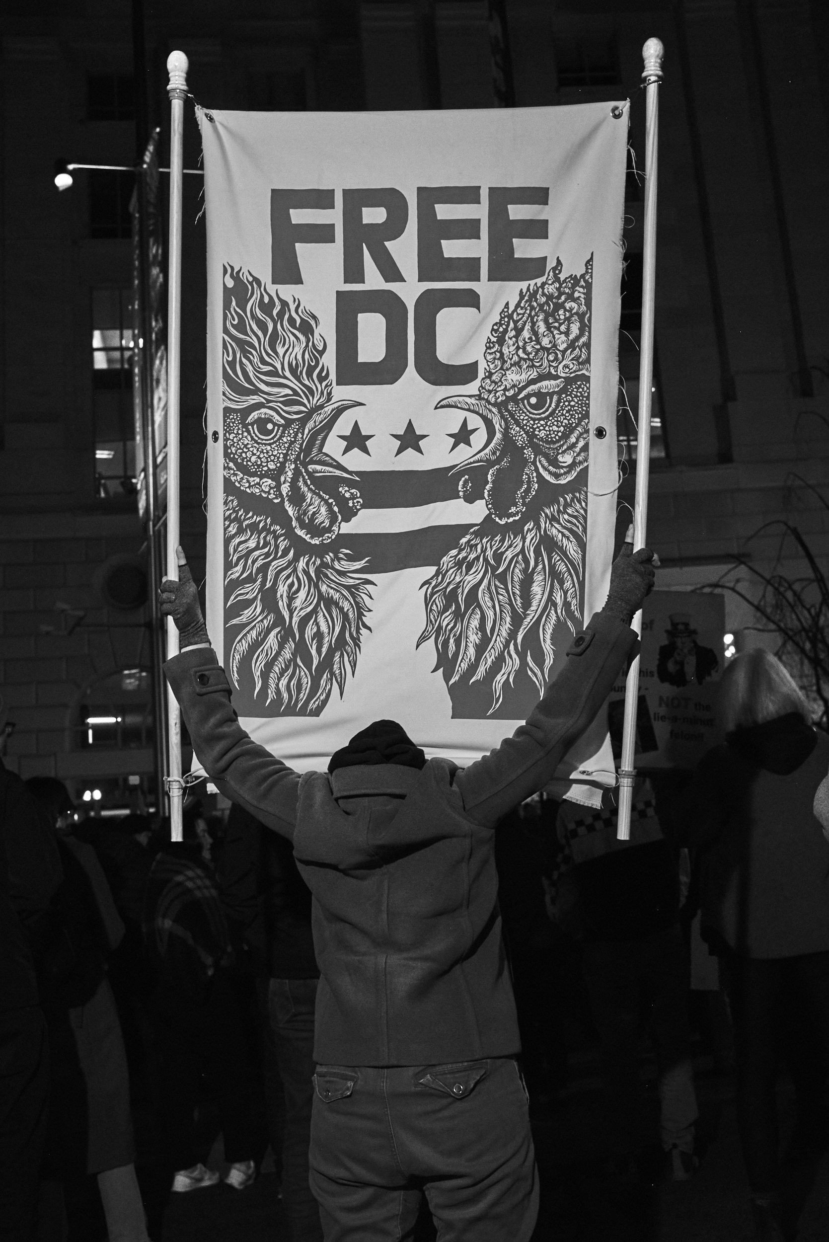 A protestor holding a banner that reads "Free DC" and has a bird on it